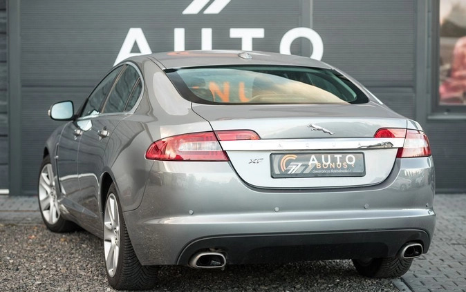 Jaguar XF cena 47900 przebieg: 222000, rok produkcji 2008 z Suchedniów małe 191